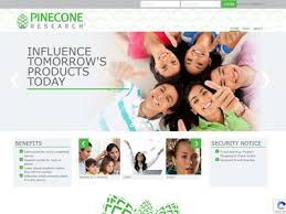 Make Money Online as a Teenager